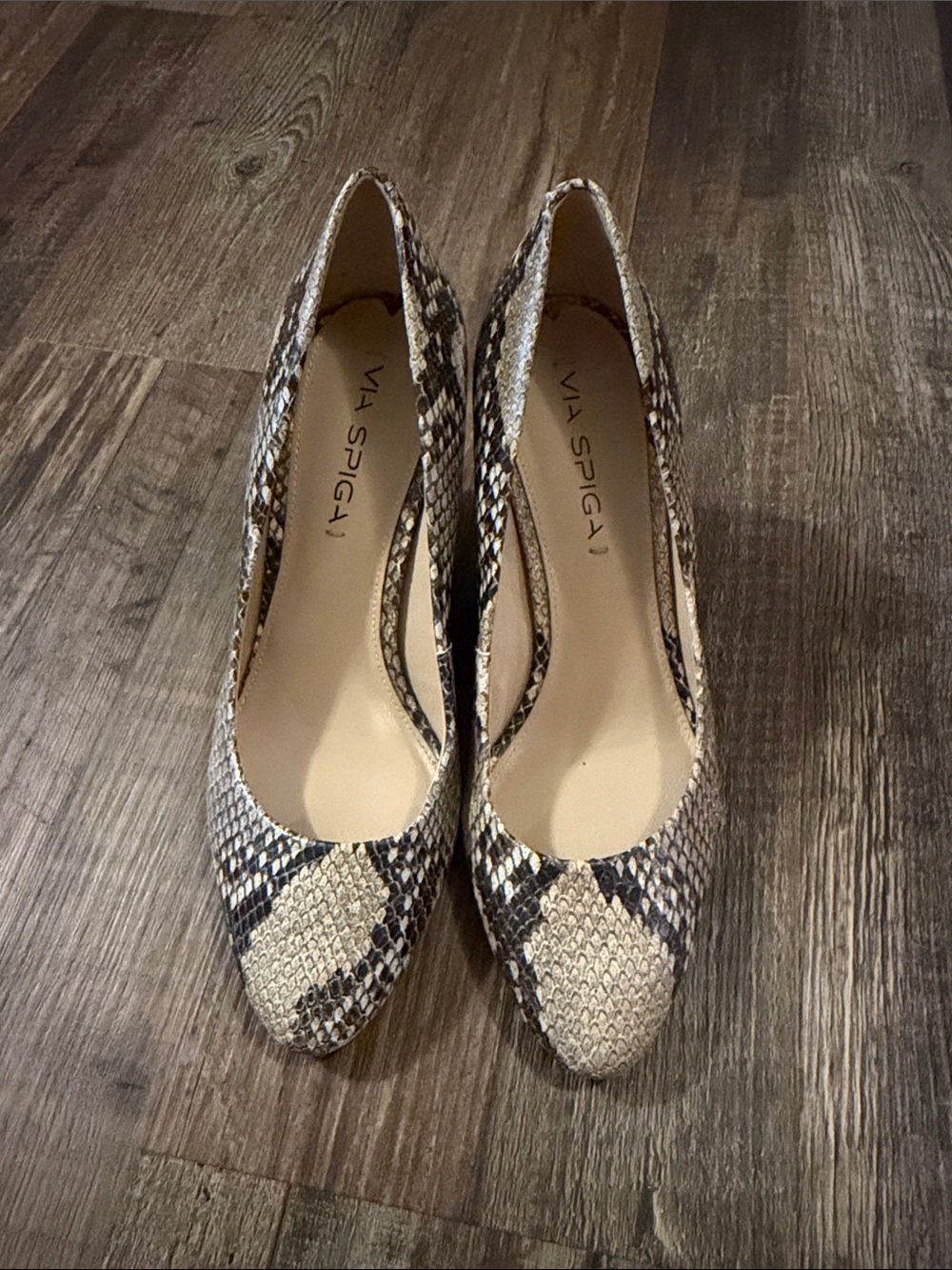 Via Spiga Snake-Print Pointed Pumps in Tan and Black